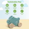 PlanToys Blue Push Along Bunny Wooden Montessori Movement and Coordination Toy | Gross Motor, Rhythm and Cause & Effect Early Learning Activity | Eco Friendly Push Toy for Active Play view 3