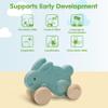 PlanToys Blue Push Along Bunny Wooden Montessori Movement and Coordination Toy | Gross Motor, Rhythm and Cause & Effect Early Learning Activity | Eco Friendly Push Toy for Active Play view 4