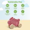 PlanToys Pink Push Along Bunny Wooden Montessori Movement and Coordination Toy | Gross Motor, Rhythm and Cause & Effect Early Learning Activity | Eco Friendly Push Toy for Active Play view 3