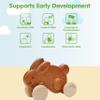 PlanToys Brown Push Along Bunny Wooden Montessori Movement and Coordination Toy | Gross Motor, Rhythm and Cause & Effect Early Learning Activity | Eco Friendly Push Toy for Active Play view 4