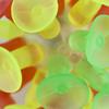 MinLia 4Pcs Fidget Toy Suction Cup Ball Sucker Ball Multicolored Ball Plaything Suction Toy Suction Cup Ball view 3