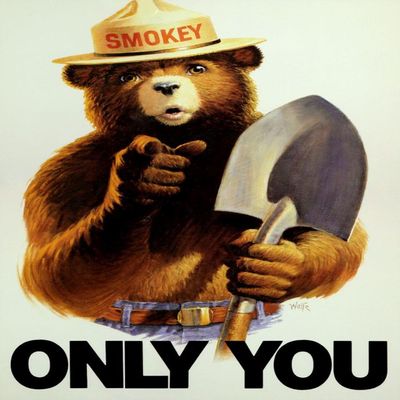 1000 Piece Jigsaw Puzzle | Uncle Sam Style Smokey Bear Only You Poster