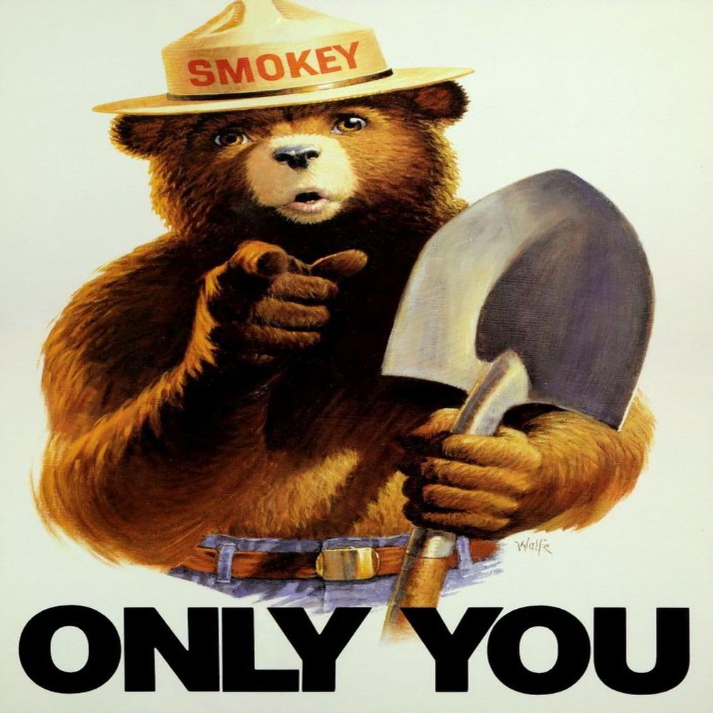 1000 Piece Jigsaw Puzzle | Uncle Sam Style Smokey Bear Only You Poster