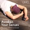 ONO Roller - Handheld Fidget Toy for Adults | Help Relieve Stress, Anxiety, Tension | Promotes Focus, Clarity | Compact, Portable Design (Natural, Full Size - Stainless Steel) view 3