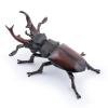 Papo -Figurine -50281-Stag Beetle view 1