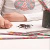 Papo -Figurine -50281-Stag Beetle view 2