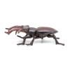 Papo -Figurine -50281-Stag Beetle view 3