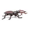 Papo -Figurine -50281-Stag Beetle view 4