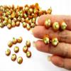 Lot 100 Loose Mushroom Puff Pie Dollhouse Miniatures Food Bakery Charms 16226 view 1