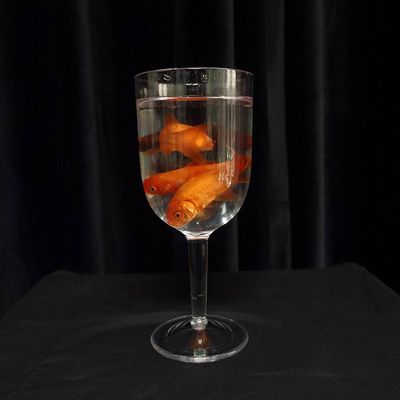 Bemagic007 Goldfish in a Goblet - Magic Tricks, Stage Magic, Party Magic, Magic Prank.Fire Magic,Coin Magic, Illusion Magic