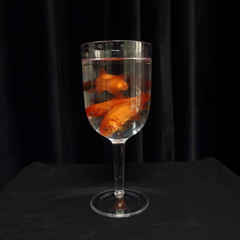 Bemagic007 Goldfish in a Goblet - Magic Tricks, Stage Magic, Party Magic, Magic Prank.Fire Magic,Coin Magic, Illusion Magic