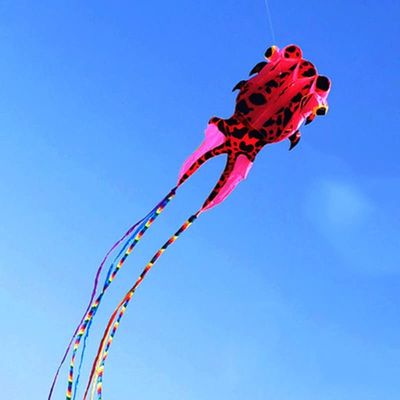 Soft Goldfish Kitebeginner Kite for Kids is Easy to Assemble and Fly, Easy-Grip Handle, with 30M Flying Line and Spool LSDRALOBBEB 0325(Color:D,Size:1000m)