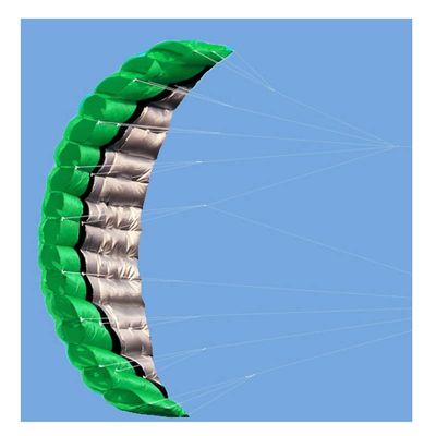 Dual Line Stunt Parachute Beach Kites,Flying Kites for Boys and Girls, Easy to Assemble and Fly, Take Off Even in Low Winds LSDRALOBBEB 0325(Color:Green,Size:2.5M)