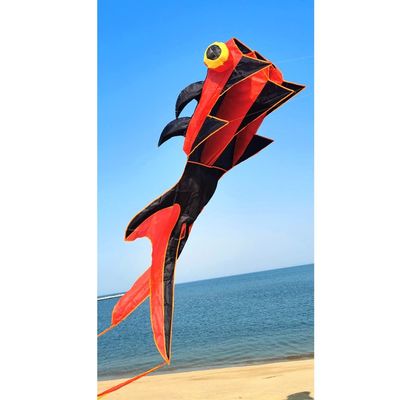 Soft Goldfish Kite,Flying Kites for Boys and Girls, Easy to Assemble and Fly, Take Off Even in Low Winds LSDRALOBBEB 0325(Color:A,Size:1000m)