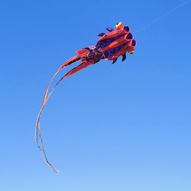 Soft Goldfish Kite,Suitable for Kids and Adults, Can Take Off Even in Low Winds, with 100M Flight Line and Spool LSDRALOBBEB 0325(Color:B,Size:1000m)