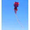 Soft Goldfish Kite,Suitable for Kids and Adults, Can Take Off Even in Low Winds, with 100M Flight Line and Spool LSDRALOBBEB 0325(Color:B,Size:1000m) view 2
