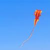 Soft Goldfish Kite,Easy-to-Fly Gift for Parents and Kids with 30M Flight Line and Spool LSDRALOBBEB 0325(Color:C,Size:1000m) view 2
