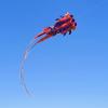 Soft Goldfish Kite,Suitable for Children and Adults, Can Take Off Even in Low Winds, Easy to Assemble and Fly LSDRALOBBEB 0325(Color:B,Size:1000m) view 1