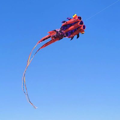 Soft Goldfish Kite,Beach and Outdoor Toys with 30M Flying Line and Spool, Outdoor Kids Toys for Beginners LSDRALOBBEB 0325(Color:B,Size:1000m)