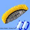 Dual Line Stunt Parachute Beach Kites,Suitable for Children and Adults, Can Take Off Even in Low Winds, Easy to Assemble and Fly LSDRALOBBEB 0325(Color:Yellow,Size:2.5M) view 2