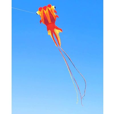 Soft Goldfish Kite,Beach Travel Outdoor Game for Kids and Adults with 30M Flying Line and Spool, Toys for Beach and Outdoors LSDRALOBBEB 0325(Color:C,Size:1000m)