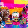 12 Pieces Fiesta Honeycomb Table Centerpiece, Cinco De Mayo Party Table Decorations, 8 Inch Mexican Table Centerpiece for Mexican Fiesta Decorations Theme Party Supplies view 4