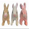 3 Pack Fuzzy Hopping Toy Walking Bunnies with Sound view 1