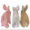 3 Pack Fuzzy Hopping Toy Walking Bunnies with Sound view 3