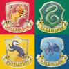 Unique Harry Potter Birthday Party Supplies Bundle Pack includes 24 Lunch Plates and 32 Napkins (Bundle for 24) view 4