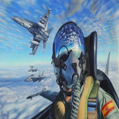300 Piece Wooden Jigsaw Puzzles for Adults Kids, Military Pilot, Spanish Air Force, Jigsaw for Active Thinking Party Entertainment,Puzzle Game Artwork, Gift for Easter Father's Day
