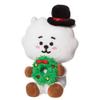 AURORA, 61490, BT21 Official Merchandise RJ Winter, Soft Toy, White & Green view 2