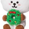 AURORA, 61490, BT21 Official Merchandise RJ Winter, Soft Toy, White & Green view 4