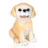 H&W Labrador Dog Coin Money Bank, Shatterproof Dog Piggy Bank, Creative Money Bank, Can Store 1000 Coins, Best Bitrthday Gift (WK34-D2) view 1