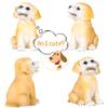 H&W Labrador Dog Coin Money Bank, Shatterproof Dog Piggy Bank, Creative Money Bank, Can Store 1000 Coins, Best Bitrthday Gift (WK34-D2) view 2