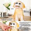 H&W Labrador Dog Coin Money Bank, Shatterproof Dog Piggy Bank, Creative Money Bank, Can Store 1000 Coins, Best Bitrthday Gift (WK34-D2) view 3