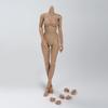 1/6 Scale Female Body, 12inch Suntan Skin Middle Bust Flexible Action Figure Body Doll Collection view 1