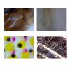 Lab Microscope Slides 1000X 1000 Times Digital Electron Microscope Microscope Parts view 4