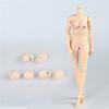 1/6 Scale Female Body, 12inch Female Pale Skin Huge Bust Flexible Action Figure Body Doll Collection view 1