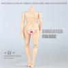 1/6 Scale Female Body, 12inch Female Pale Skin Huge Bust Flexible Action Figure Body Doll Collection view 4