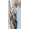 God Mode Sui Generis 2 by Fraser Parker - Book view 1