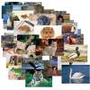 Stages Learning Materials SLM921 Mega Pack of Animals & Insects - Set of 48 view 1