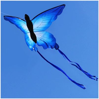 1.5M Butterfly Kite Can Take Off Even in Low Wind, Easy to Assemble and Fly Kite, Suitable for Kids and Adults Beach Travel Outdoor Games LSDRALOBBEB 0401(Color:A,Size:)