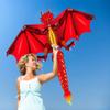 1.6M Dinosaur Kite is a Flying Kite for Boys and Girls, Can Take Off Even in Low Wind, with 100M Flying Line and Spool LSDRALOBBEB 0401(Color:B,Size:) view 3