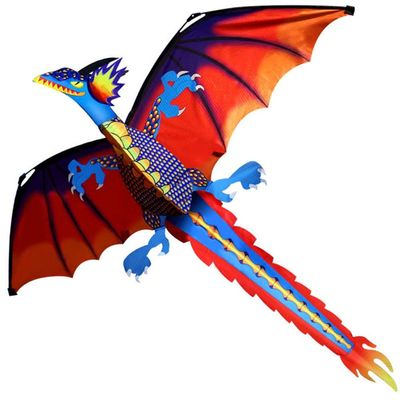 1.6M Dinosaur Kite is Suitable for Kids and Adults, It Can Take Off Even in Low Wind, Easy to Assemble and Fly LSDRALOBBEB 0401(Color:A,Size:)