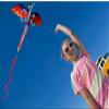 1.6M Dinosaur Kite is Suitable for Kids and Adults, It Can Take Off Even in Low Wind, Easy to Assemble and Fly LSDRALOBBEB 0401(Color:A,Size:) view 4