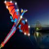 1.6M Dinosaur Kite Easy to Assemble and Fly Kite, Can Take Off Even in Low Wind, Suitable Flying Kite for Boys and Girls LSDRALOBBEB 0401(Color:D,Size:) view 2