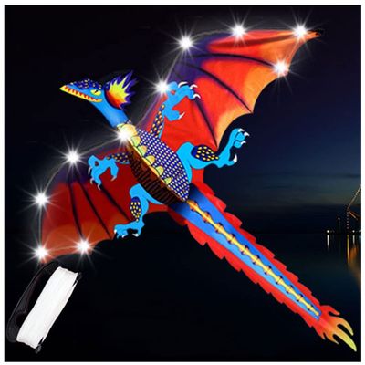 1.6M Dinosaur Kite Outdoor Kids Toys for Beginners, Beach and Outdoor Toys with 100M Flying Line and Spool LSDRALOBBEB 0401(Color:D,Size:)