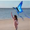 1.5M Butterfly Kite Easy to Fly Easy to Carry Gift for Kids with 100M Flying Line and Spool LSDRALOBBEB 0401(Color:A,Size:) view 4