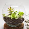GANAZONO Miniature Grass Cluster Faux Cluster Decor for Sand Table and Landscape Material for Model Train Railway and view 3