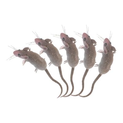 Generic 5pcs Mouse Toy Terror Mouse Figurines Rats Mouse Action Model Lifelike Mouse Toy Halloween Joke Prank Gift for Boys Girls Kids Toddlers, 10x1.5cm